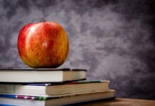 Czy klasa energetyczna Fo jest dobra? Czy klasa energetyczna Fo jest dobra?